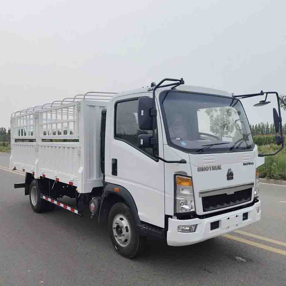 Sinotruk Howo 4x2 Light Fence Cargo Cargo